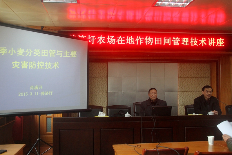 普濟圩農(nóng)場舉辦在地作物小麥田間管理技術培訓講座