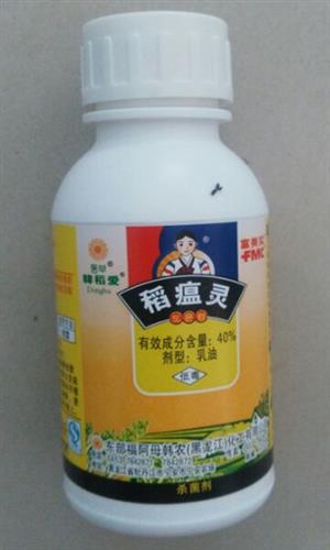 韓稻愛(ài)